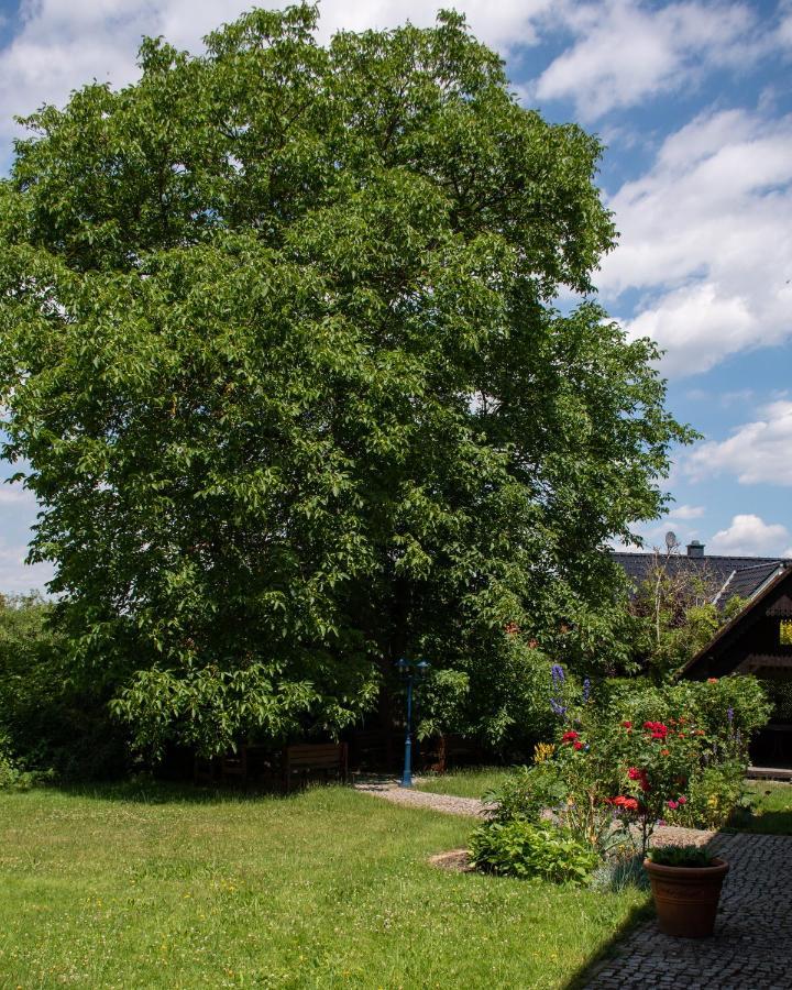 Ferienhaus Ostrauer Hof Bad Schandau Kültér fotó